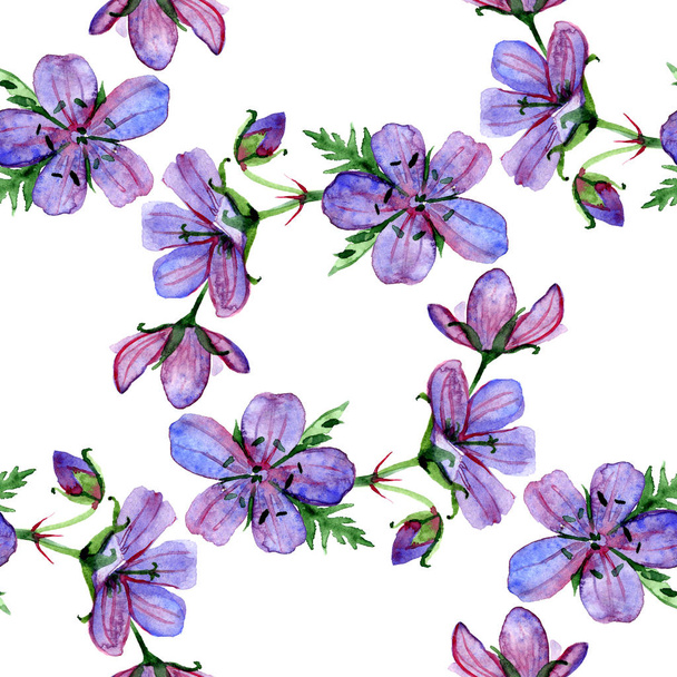 Watercolor floral seamless pattern with Forest geranium flowers on white background - Foto, afbeelding