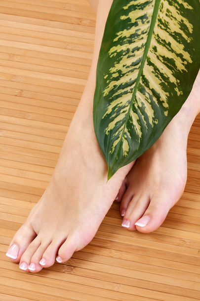 Nahaufnahme gepflegter Frauenfüße mit großen grünen Blättern. Hautpflegekonzept - Foto, Bild