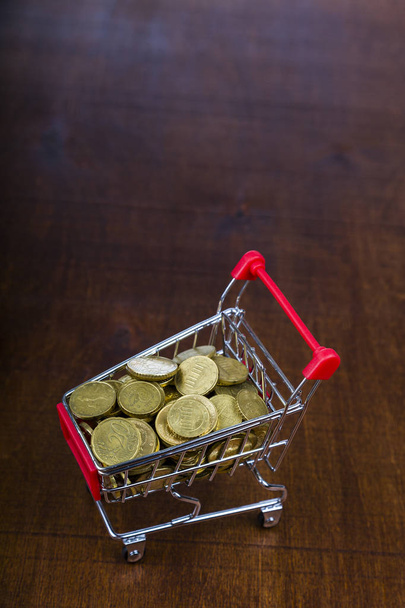  Shopping trolley with coins  - Φωτογραφία, εικόνα