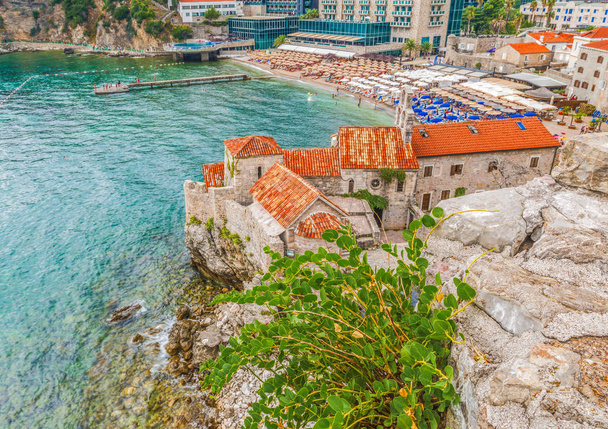 Bella pianta sul muro di pietra dell'antica cittadella del centro storico di Budva, Montenegro
. - Foto, immagini