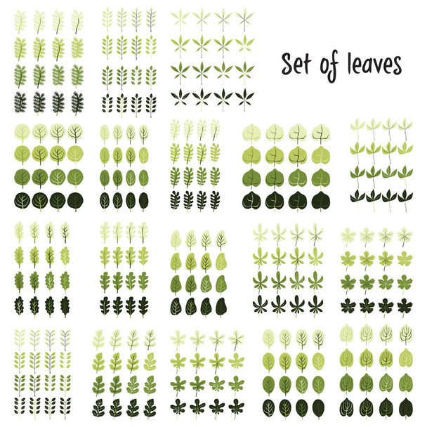 Vector set of leaves. Cartoon leaf illustration. - Vector, Image