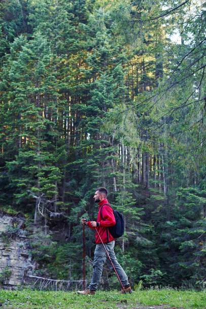 Joven barbudo con postes haciendo senderismo en las montañas
 - Foto, Imagen