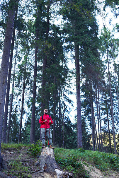 Güdük üzerinde duran, hiking direkleri tutarak düşünceli adam  - Fotoğraf, Görsel