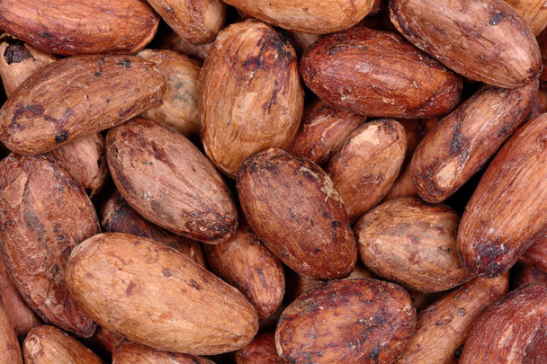 Много бобов какао на заднем плане
 - Фото, изображение