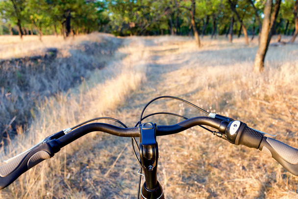 Τιμόνι ποδηλάτου στο off-road και ξηρό χορτάρι φθινόπωρο. - Φωτογραφία, εικόνα