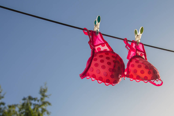 Šňůra na prádlo s růžovou podprsenku, jaro - Fotografie, Obrázek