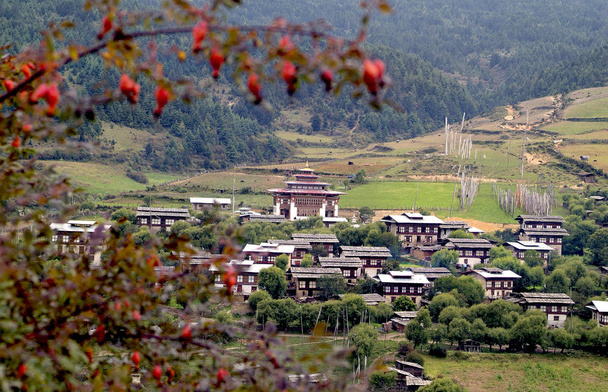 Bhutan, Bumthang, Ura,  - Fotoğraf, Görsel
