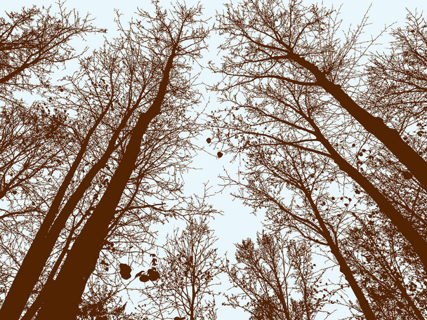deciduous trees in autumn season - Vector, Image