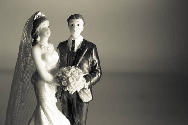 Standardní obrázek nevěsty a ženicha - Fotografie, Obrázek