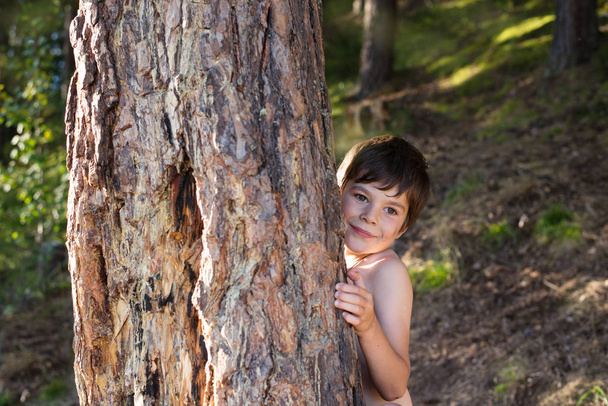 the boy hides behind a tree - Valokuva, kuva