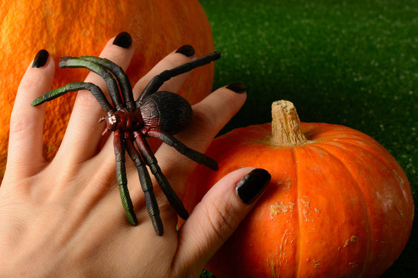 Käsi lelu hämähäkki vastaan kurpitsat
 - Valokuva, kuva