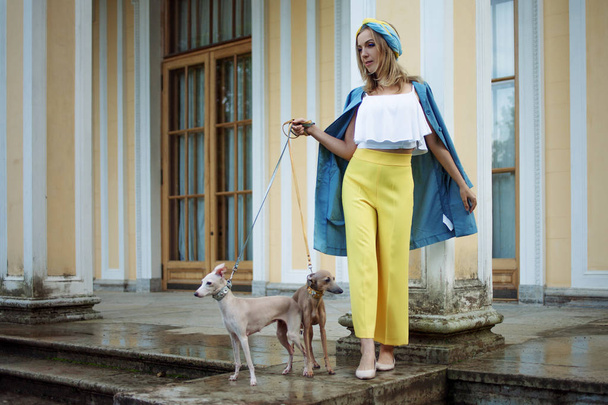 Stylish and beautiful young woman walks with dogs - Fotografie, Obrázek