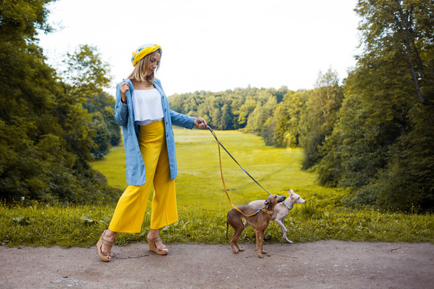 Young woman with two Italian greyhounds. outdoor - Fotoğraf, Görsel