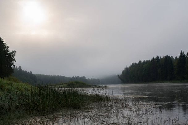 fog in the morning on the river - Fotografie, Obrázek