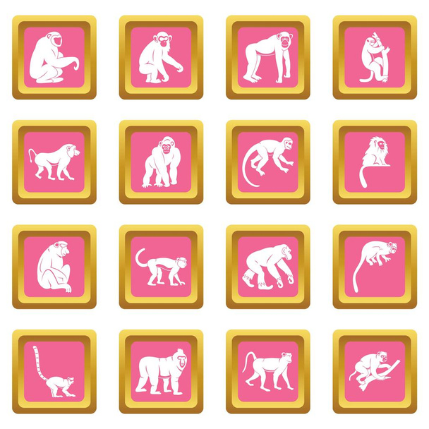 Monkey types icons pink - Вектор,изображение