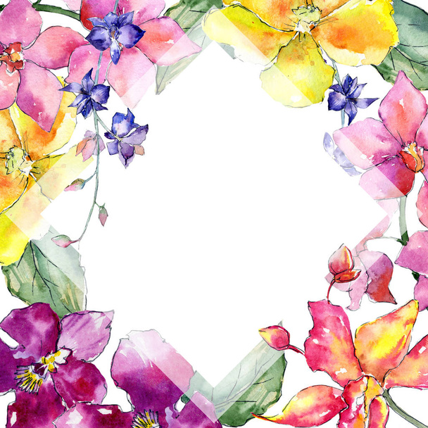 Wildflower orchid flower frame  in a watercolor style. - Photo, Image
