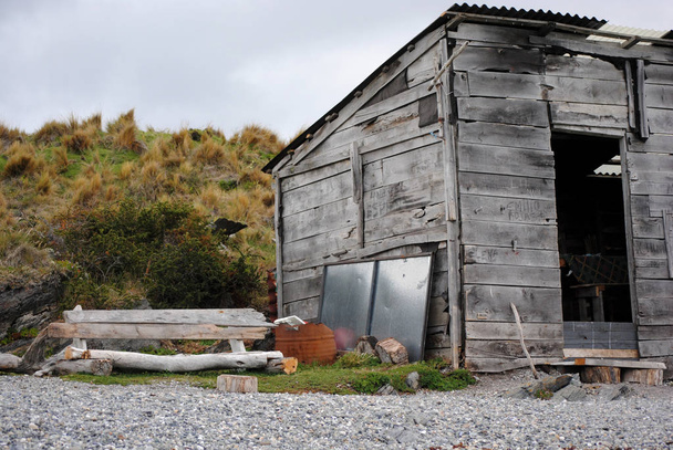 Cabana com um telhado de folha
 - Foto, Imagem