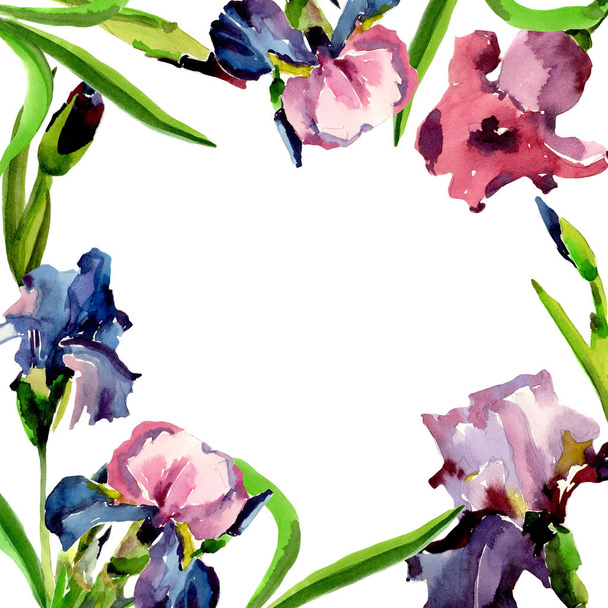 Wildflower iris flower frame in a watercolor style. - Foto, afbeelding