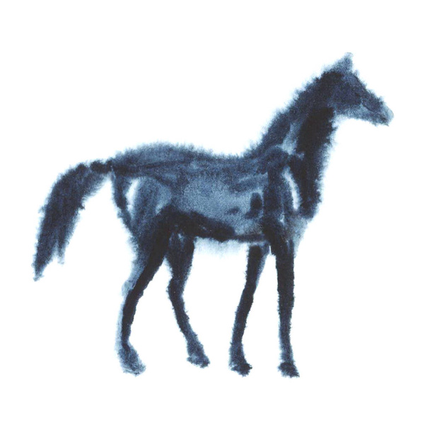 Hand painting wet watercolor foal horse on white background.  - Foto, Imagem