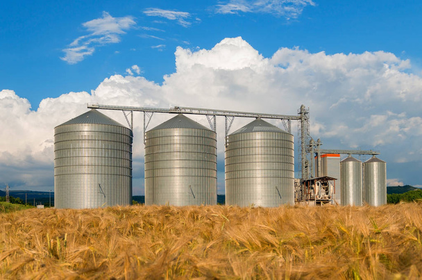 Silos in a barley field. Storage of the crop - Photo, Image