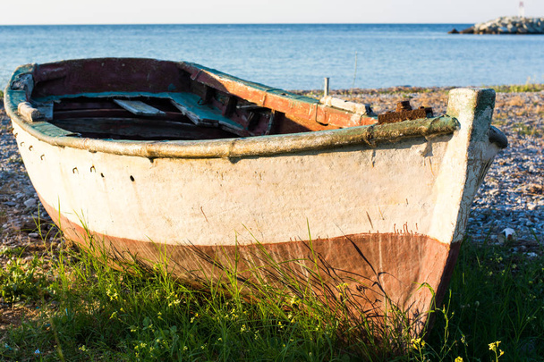 Old boat on the seashore covered with grass - Photo, Image