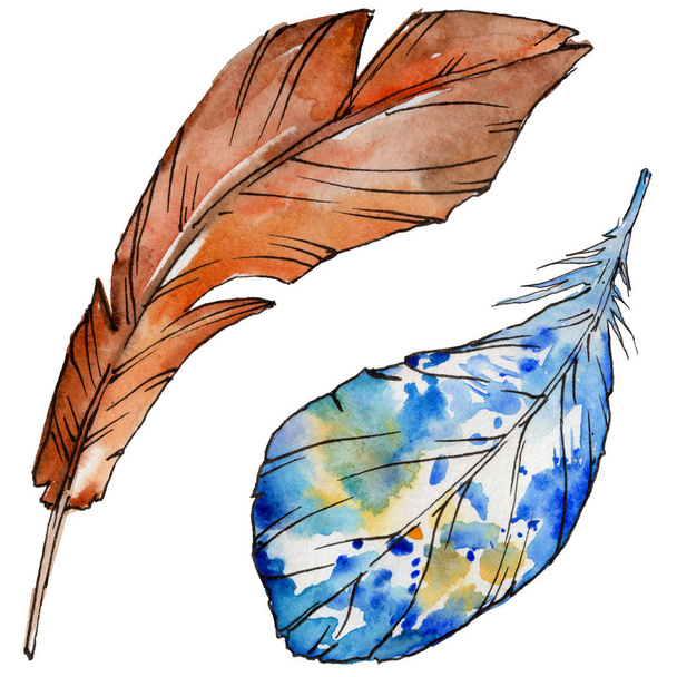 Watercolor bird feather from wing isolated. - Fotografie, Obrázek