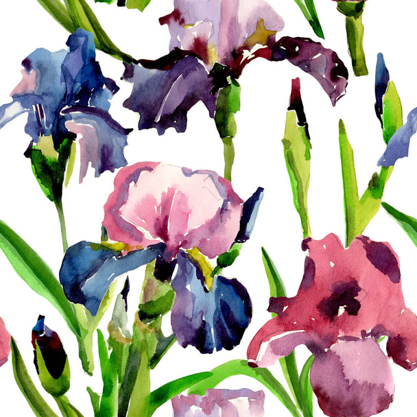 Wildflower iris flower pattern in a watercolor style. - Foto, immagini