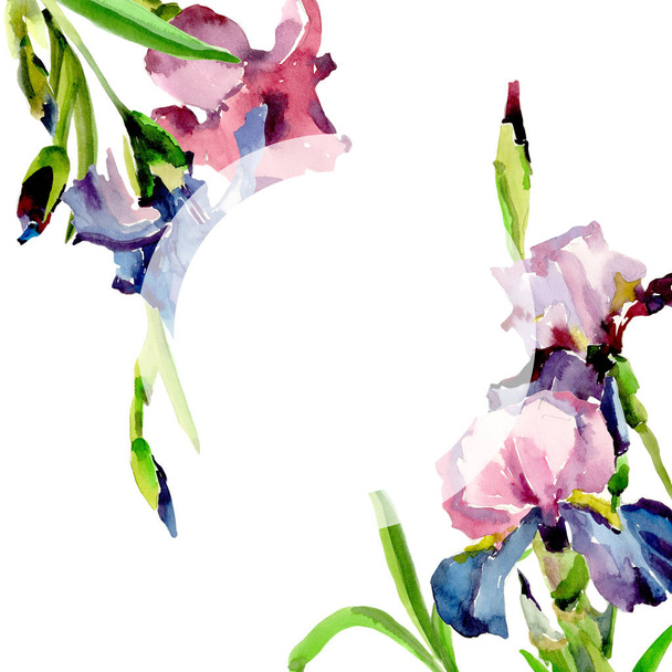 Wildflower iris flower frame in a watercolor style. - Foto, imagen