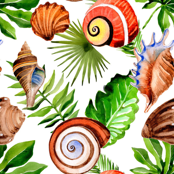 Tropical Hawaii leaves palm tree and sea shell pattern in a watercolor style. - 写真・画像