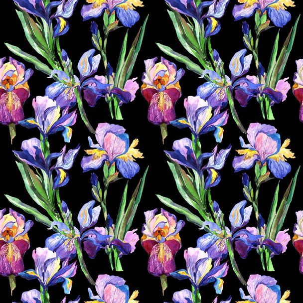 Wildflower iris flower pattern in a watercolor style. - Фото, зображення