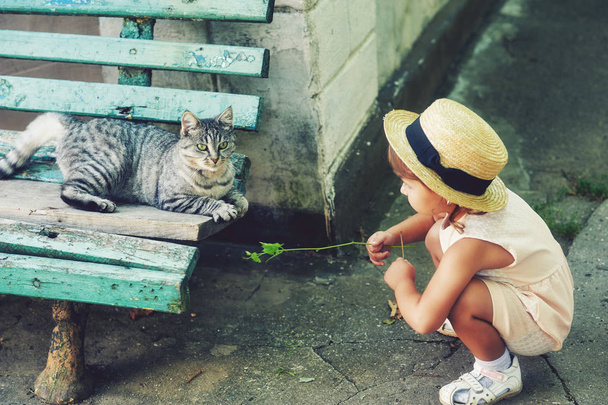 庭で猫と遊ぶ少女 - 写真・画像