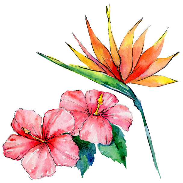 Tropical Hawaii leaves in a watercolor style isolated. - Valokuva, kuva