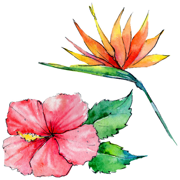 Tropical Hawaii leaves in a watercolor style isolated. - Zdjęcie, obraz