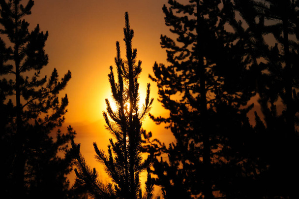 Sonnenaufgang im Westen - Foto, Bild