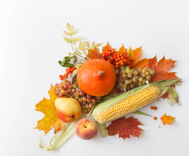 Pumpkins,apples, corn, pear, grapes with autumn leaves and mountain ash - Foto, afbeelding