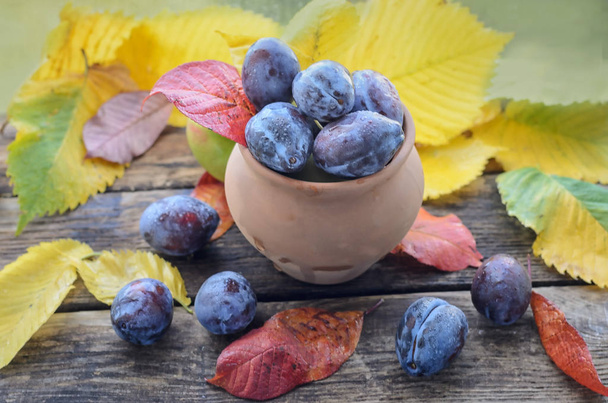 ceramic rustic pot with prunes of fallen autumn leaves of yellow and red - Photo, Image