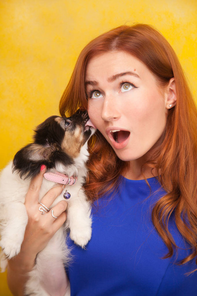 belle jeune femme rousse debout avec petit chiot chien mignon sur fond de studio jaune
 - Photo, image