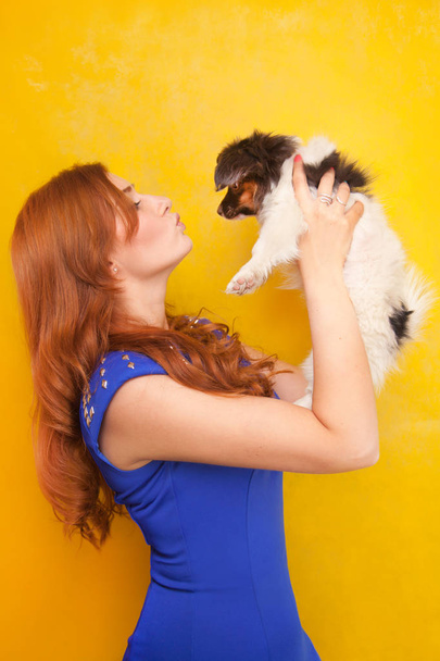 hermosa mujer joven pelirroja de pie con perrito lindo perro sobre fondo de estudio amarillo
 - Foto, imagen