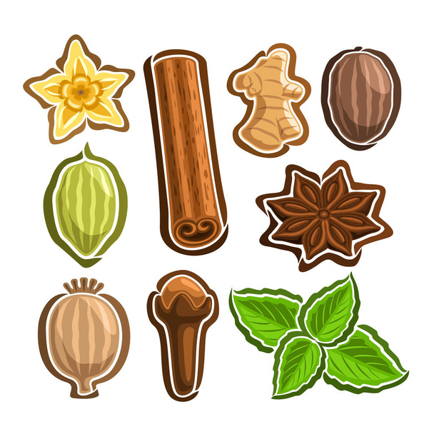 Set vettoriale icone per spezie culinarie
 - Vettoriali, immagini