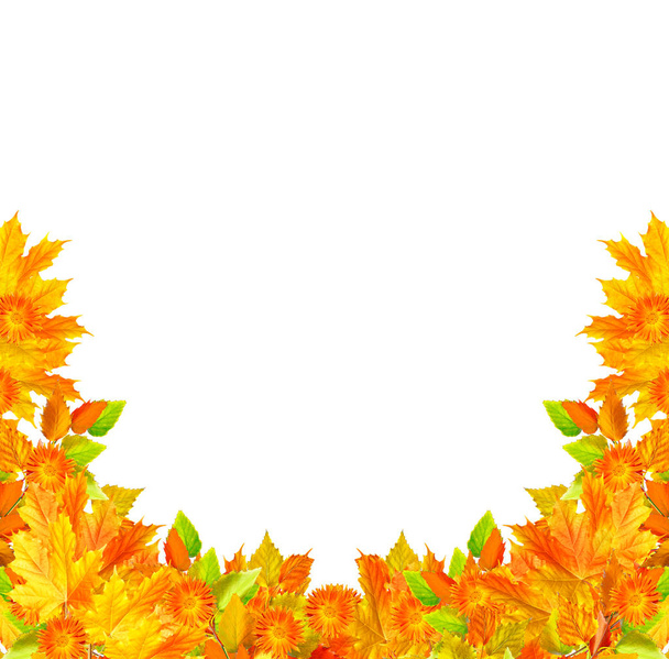 Bright colorful autumn foliage  - Foto, Imagen