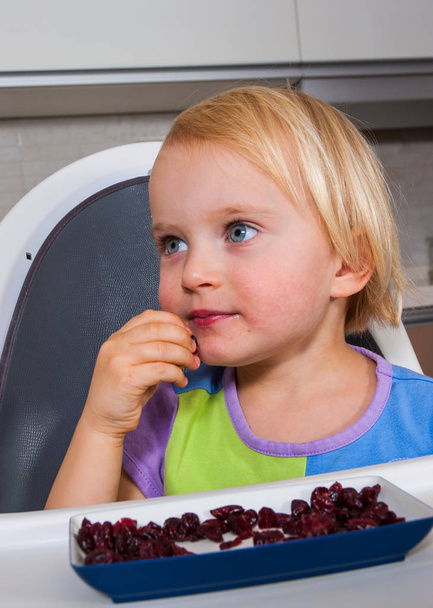 mała dziewczynka jedzenie suszone jagody - Zdjęcie, obraz