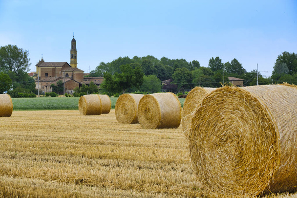 ländliche Landschaft in der Nähe von Fidenza (Parma)) - Foto, Bild