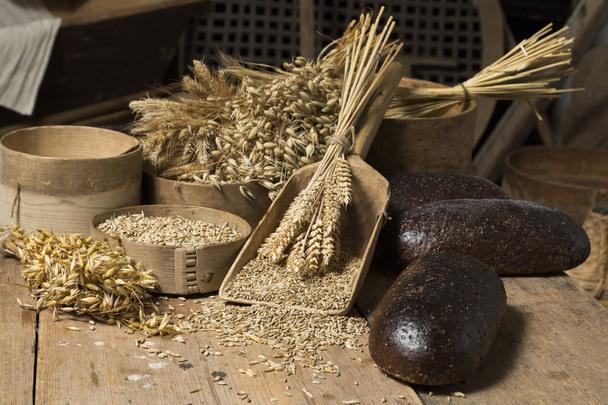 Fondo de pan. Composición de panes integrales marrones sobre madera rústica con espigas de trigo esparcidas
 - Foto, imagen