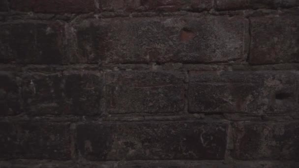 vecchio muro di mattoni rossi - Filmati, video