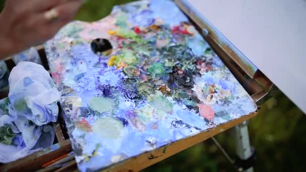 Charming woman sitting on plaid at the park in sunny summer day and finishing draw picture by watercolor paints a beautiful landscape - Footage, Video