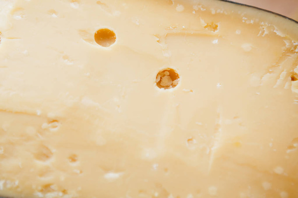Hard aged cheese closeup - Photo, Image