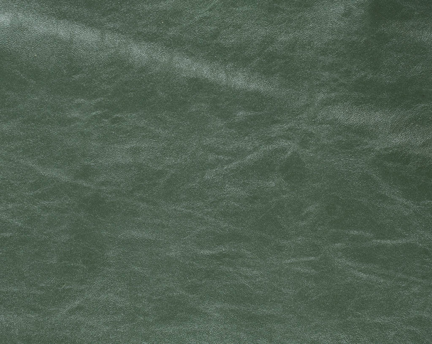 Натуральна, справжня зелена шкіра текстури
 - Фото, зображення
