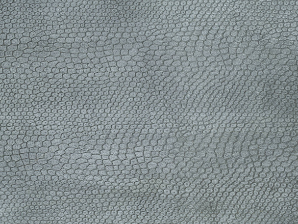 Natuurlijke, echte grijze slang leder texture - Foto, afbeelding