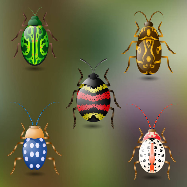 Пять красочных жуков
 - Вектор,изображение