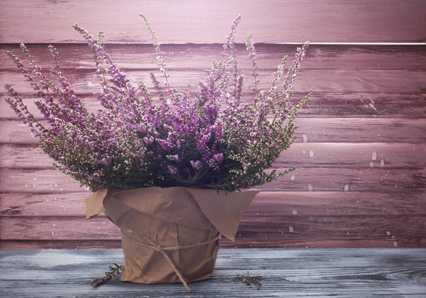 Pink heather in pot, vintage shutters - Fotoğraf, Görsel
